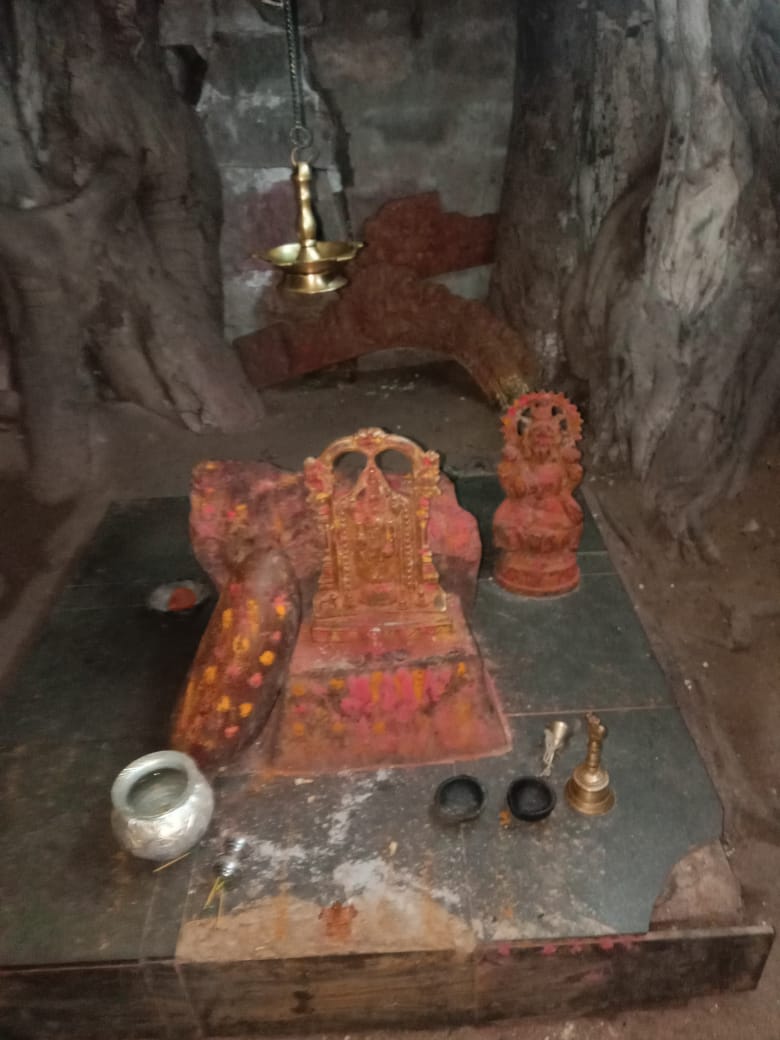 Lord Venkateswara swamy inside peepal tree temple.jpeg